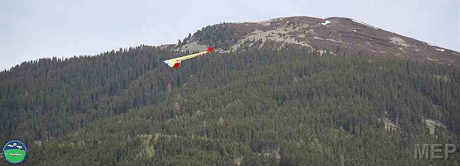 Albatros auf der Tannenalm
