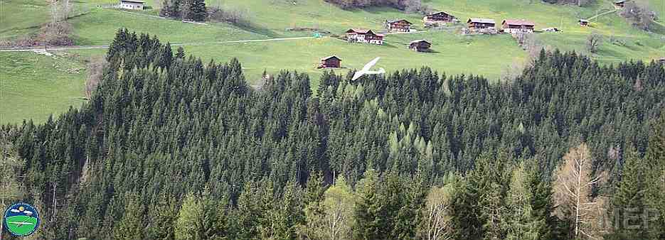 Tannenalm 2013